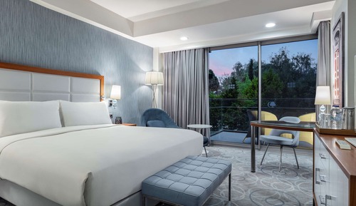 Room, 1 King Bed, Smoking