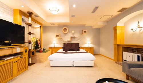 Premium Double Room, Non Smoking