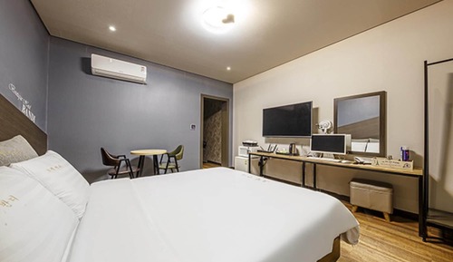 Room (Standard room / hot spring water (300)