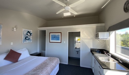 Superior Studio, 1 King Bed, Ensuite, Mountain View