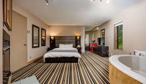 Elite Suite