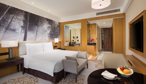 Haiyu Executive Garden View King Room (Welcome Fruits)