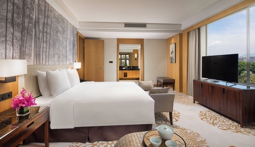 Executive Studio Suite