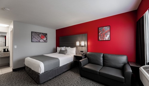 Single Queen Kitchenette Exterior Access (Pet Friendly)