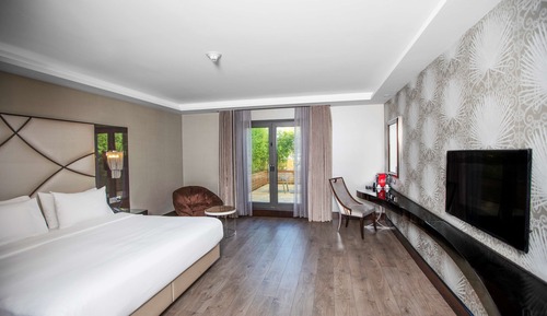 Deluxe Room, 1 King Bed, Terrace