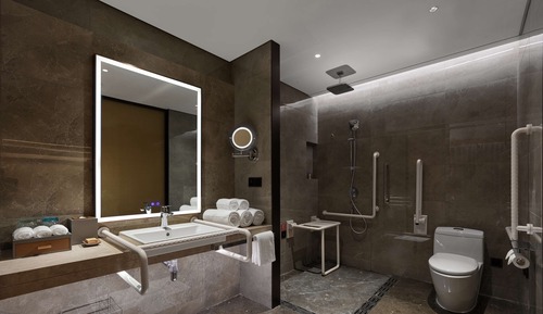 Room, 1 King Bed, Accessible