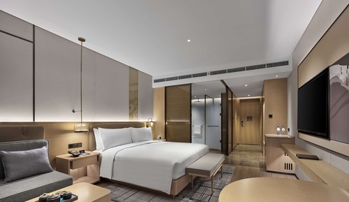 Room, 1 King Bed