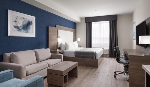 Standard Room, 1 King Bed, Non Smoking, Refrigerator & Microwave (with Sofabed)
