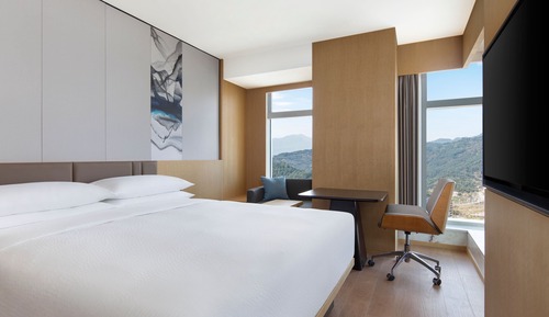 Standard Room, 1 King Bed, City View
