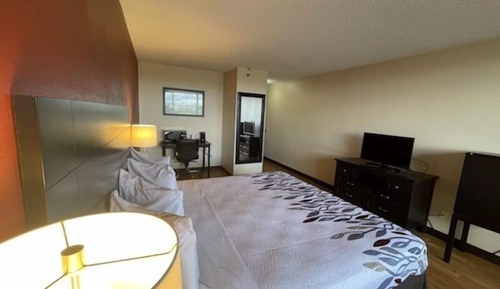 Room, 1 King Bed