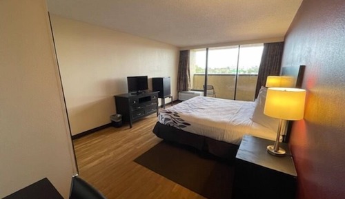 Room, 1 King Bed, Balcony