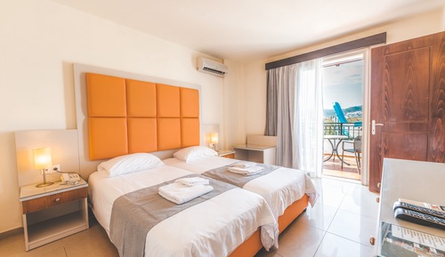 Superior Double or Twin Room