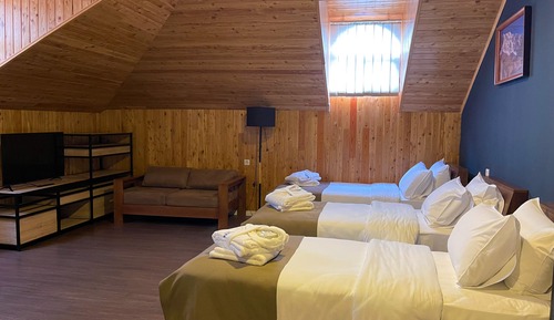 Economy Triple Room