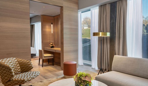 Suite, 1 King Bed (Regency)