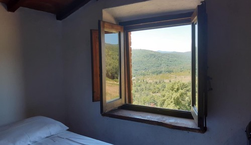 Traditional Double or Twin Room