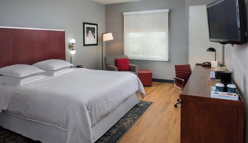 Room, 1 King Bed