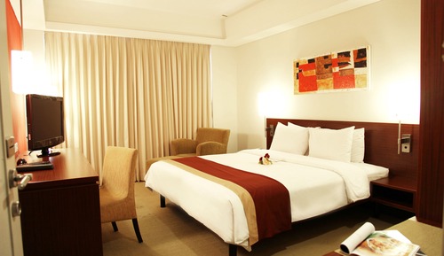 Deluxe King Size Room
