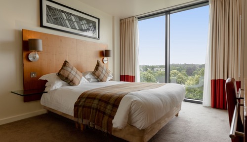 Comfortable Double Room