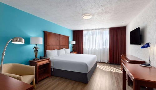 Superior Room, 1 King Bed, Non Smoking