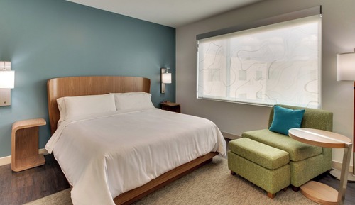 Room, 1 King Bed
