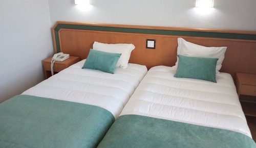 Basic Twin Room