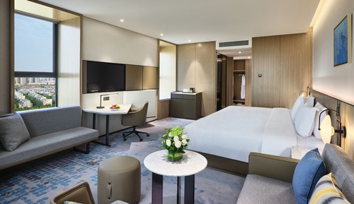 Standard Room, 1 King Bed, Accessible