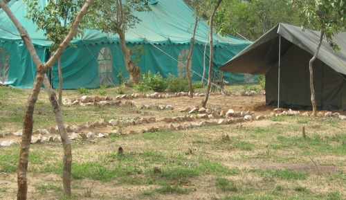 Basic Tent