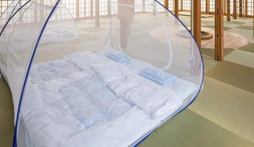 Grand Room with Japanese Tatami Mat Flooring