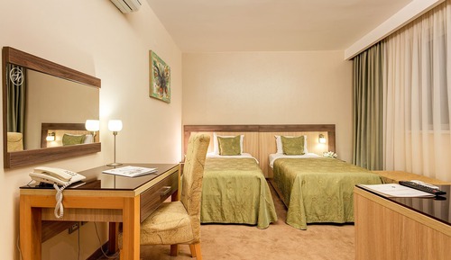 Deluxe Room (Annex)