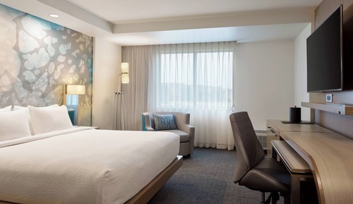 Room, 1 King Bed with Sofa bed