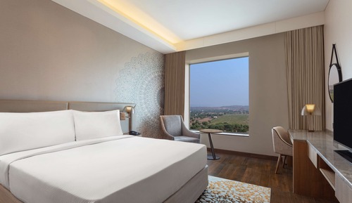 Room, 1 King Bed