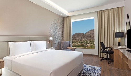Room, 1 King Bed, Accessible