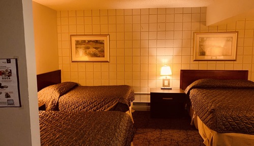 Studio, Multiple Beds, Non Smoking, Kitchen