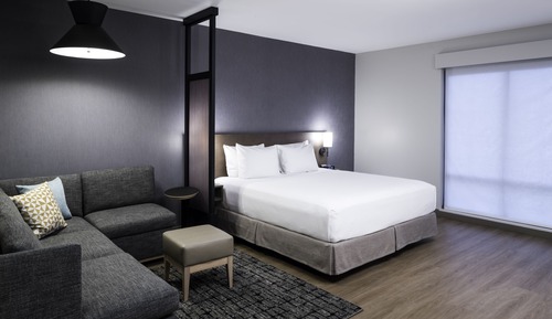 Room, 1 King Bed, Accessible, Bathtub (& Sofabed)