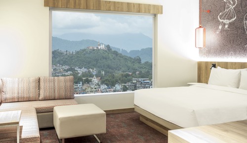 Room, 1 King Bed with Sofa bed