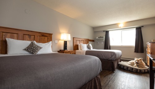 Standard Room, 2 Queen Beds (Pet Friendly)