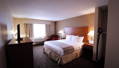 Standard Room, 1 King Bed, Mobility Accessible, Non Smoking