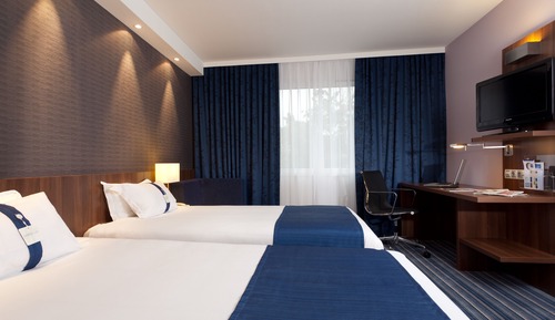 Standard Room, 1 King Bed with Sofa bed, Garden View