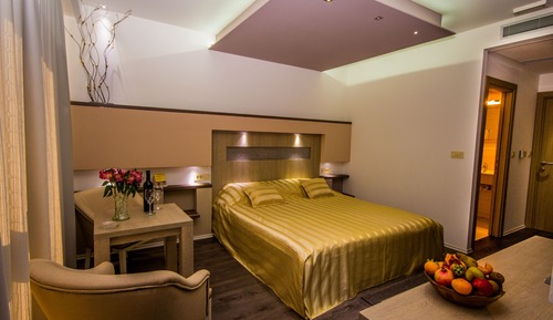 Standard Double or Twin Room, Annex Building (Single Use)
