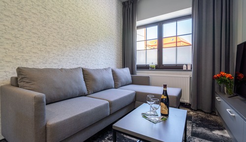 Premium Studio Suite (Karp w smietanie - A)