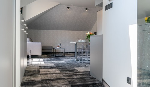 Premium Studio Suite (Karp w szarym sosie - E)