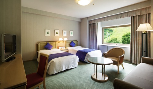 Superior Twin Room, Smoking