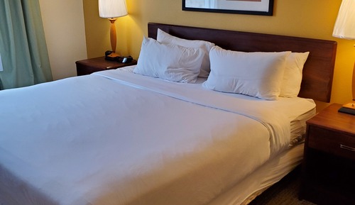 Room, 1 King Bed, Non Smoking (Walk-In Shower)