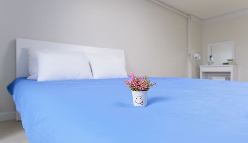 Premium Studio, 1 Bedroom