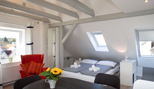Studio, 1 Double Bed with Sofa bed