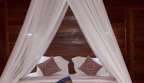 Basic Double Room