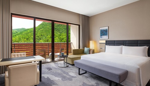 Room, 1 King Bed, Smoking, Mountain View (Balcony)