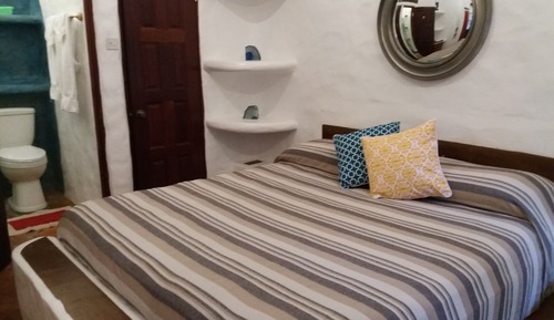 Standard Room, 1 King Bed, Pool Access, Garden View (Mexican Palm)