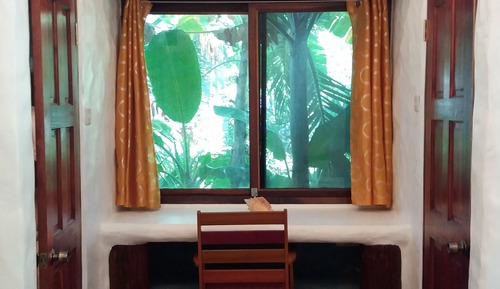 Standard Room, 1 Queen Bed, Pool Access, Poolside (Foxtail Palm)