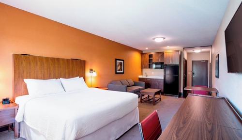 Room, 1 King Bed with Sofa bed